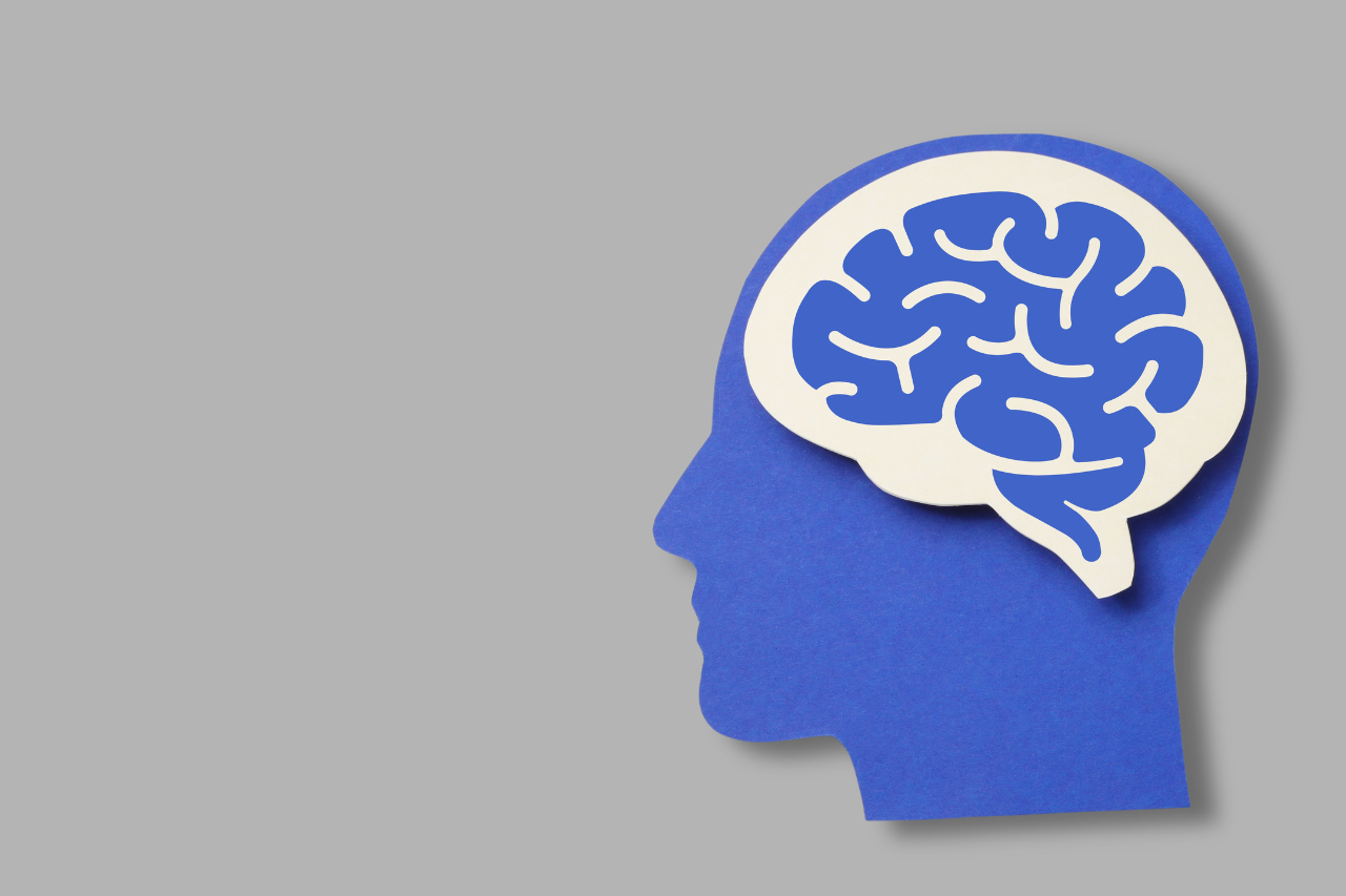 Is Sudoku Good for My Brain?